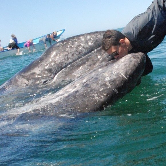 Meet your Posher, Reuben - Picture 1 of 1